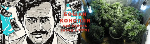первитин Осинники